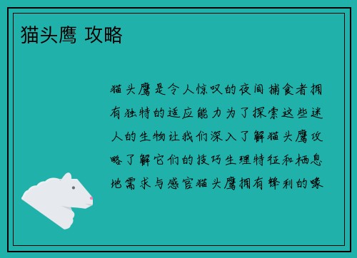 猫头鹰 攻略