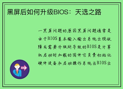 黑屏后如何升级BIOS：天选之路